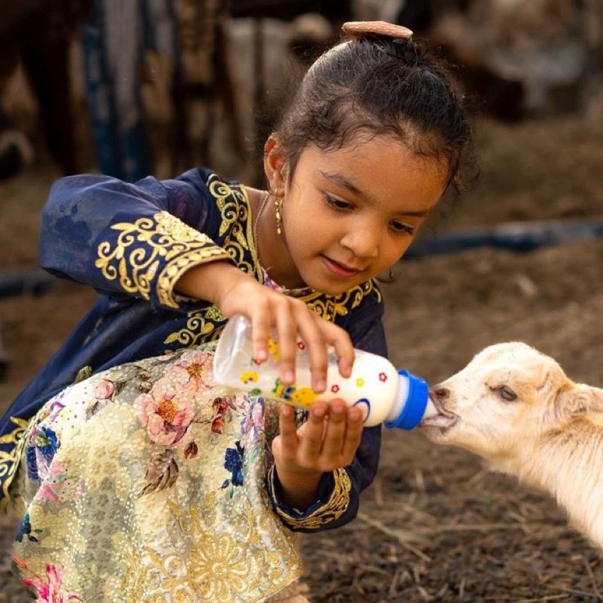 #صباح_الخير وعقبه
إصنع لِنفسك محافل البهجة وزوايا الأنس❤️