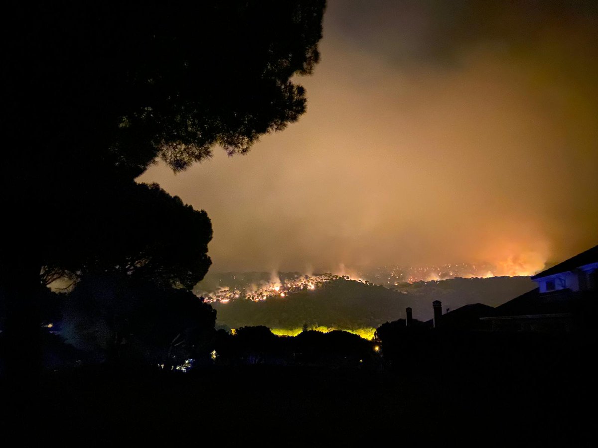 Fatimilla tweet media