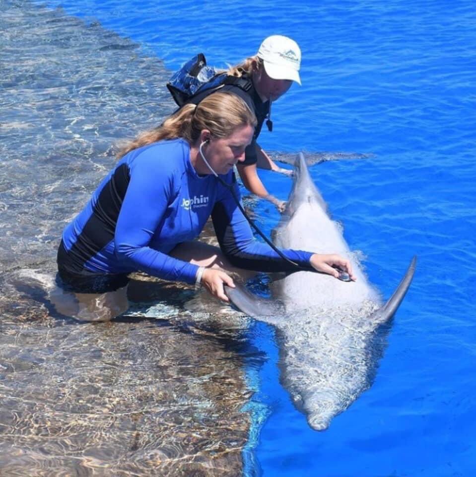 monitor1059's tweet photo. @TheDolphinCo_ , fue reconocido en el lugar #23 del ranking Súper Empresas para Mujeres 2022 de la Revista Expansión y Top Companies, por procurar cerrar la brecha laboral e incentivar la inclusión y el liderazgo de las mujeres que laboran en la compañía. 🐬 https://t.co/OmNTwrObx4