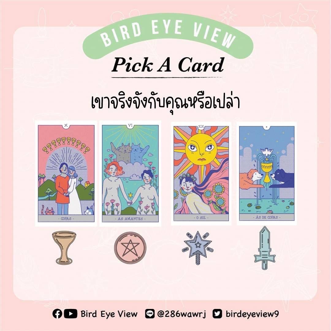 birdeyeview tweet media