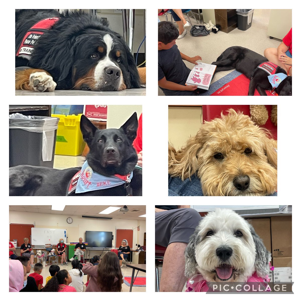 Melissa Desmond tweet media