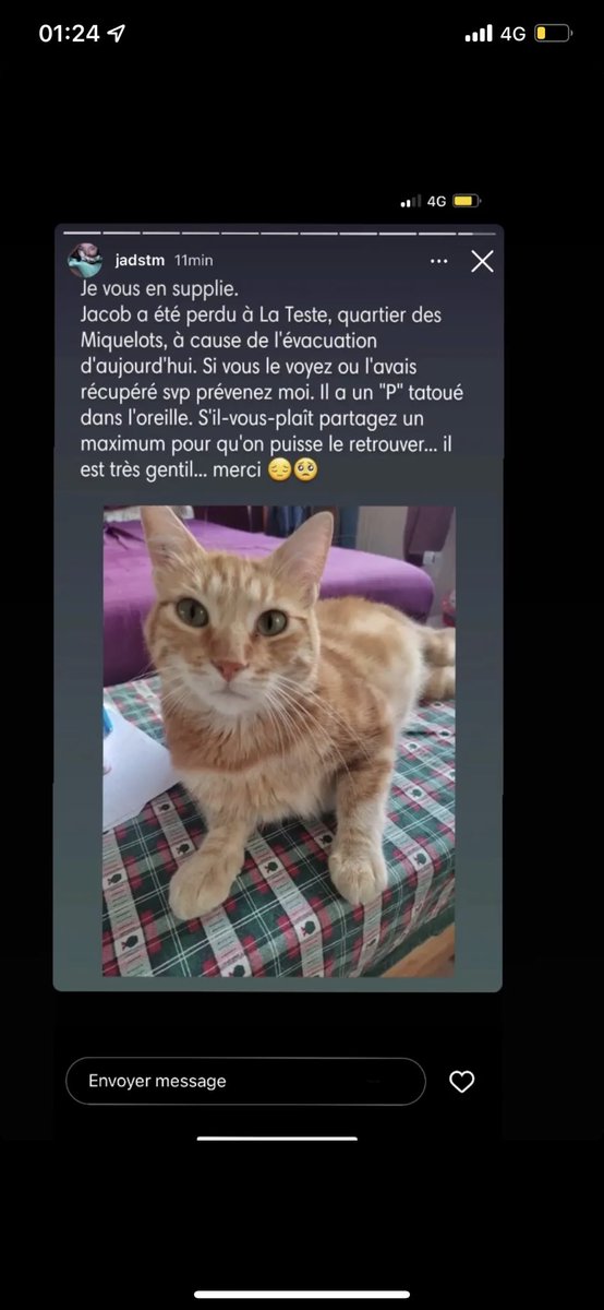 rt svp #IncendiesGironde #Bordeaux #LaTeste