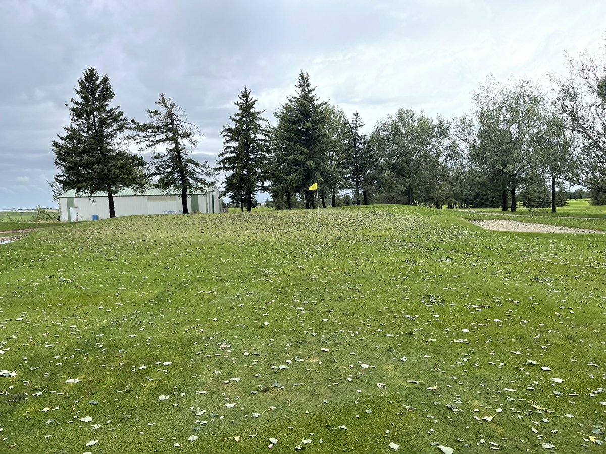 Landon Hall tweet media