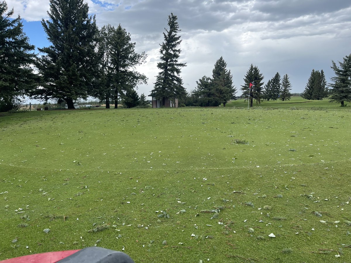 Landon Hall tweet media