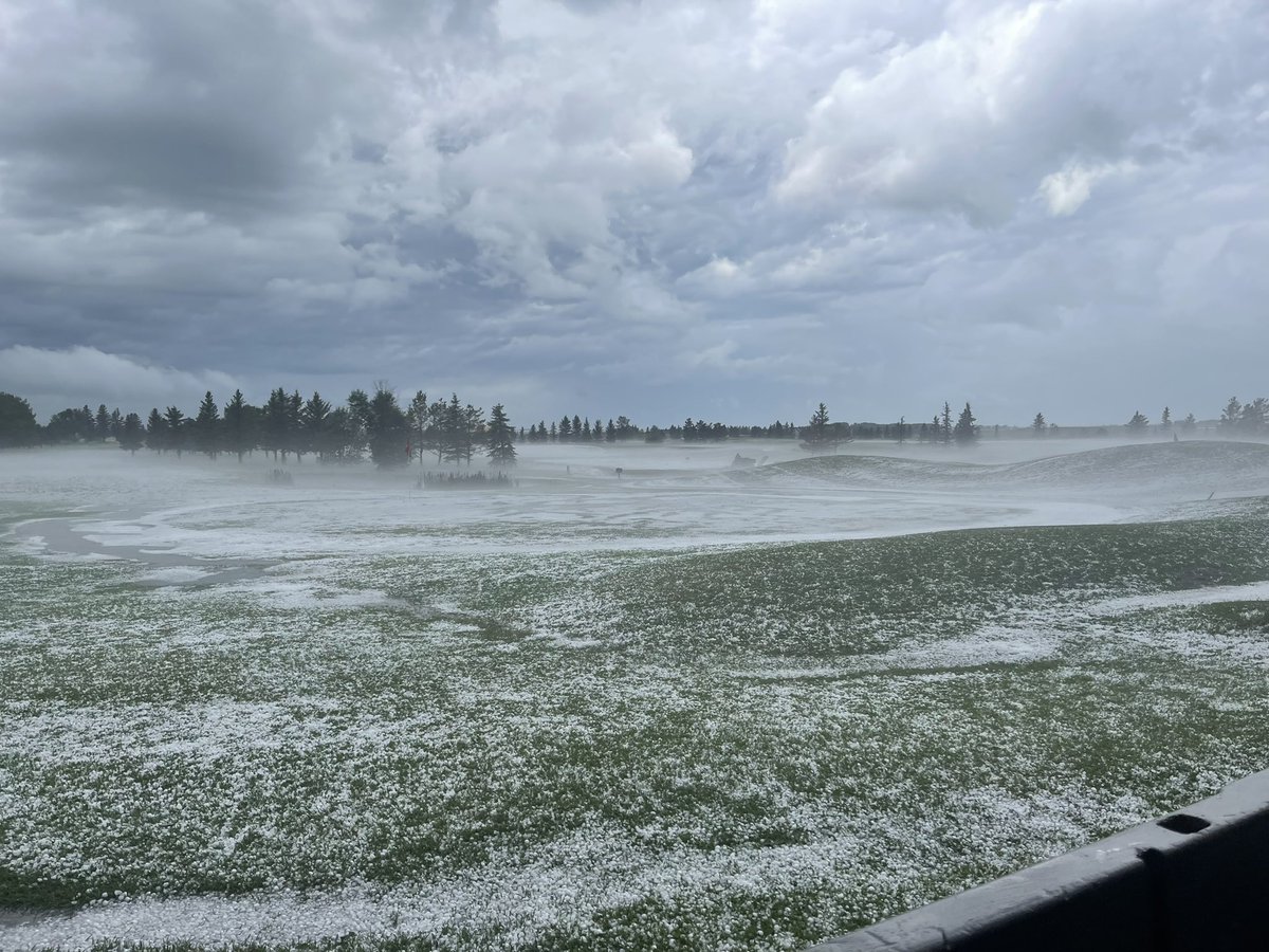 Landon Hall tweet media