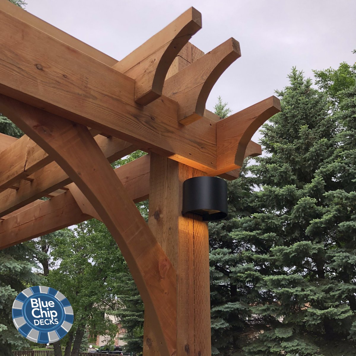 It’s All In The Details!
.
.
Check out the killer details on this pergola end. Lit up nicely with some @inlitedesign LED Halo lights.
.
.
✨✨ #bluechipdecks ✨✨
.
.
#wood #woodworking #carpentry #Manitoba #wpg #construction #art #beautiful #pergola #backyard #winnipeg #decks