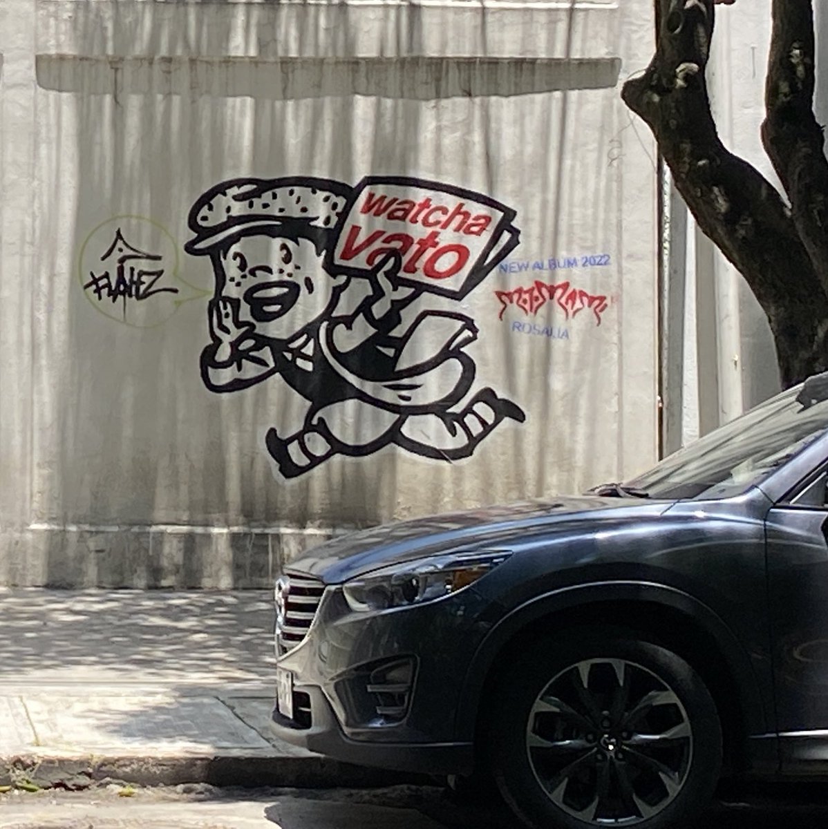 فاطمة tweet media