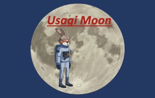 mochineproms's tweet photo. $USAGI 🐰🐰🐰

UsagiMoon BUSD Reward
Next 1000x moonshot🔥
The team previous project was great✔️
Safu Team
BSC
0x4D1f73c28941Bf879662Fd128baaB5a495083Ac9

https://t.co/u3P6AoiuVv

https://t.co/dAWnOvtzCd https://t.co/XYxCIvCZ1i