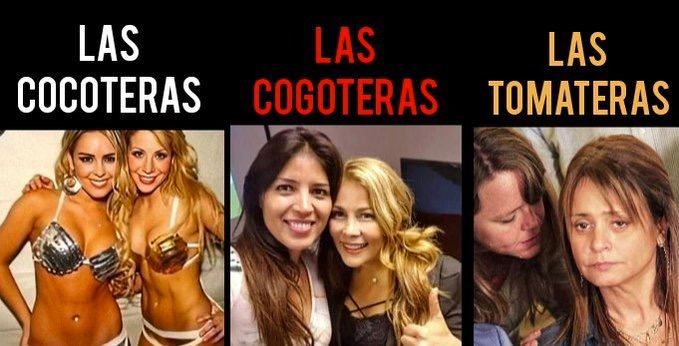 EL PUEBLO INFORMA on Twitter: "Las Cocoteras. //. Las Cogoteras. //. Las  Tomateras https://t.co/oj49dwDloZ" / Twitter