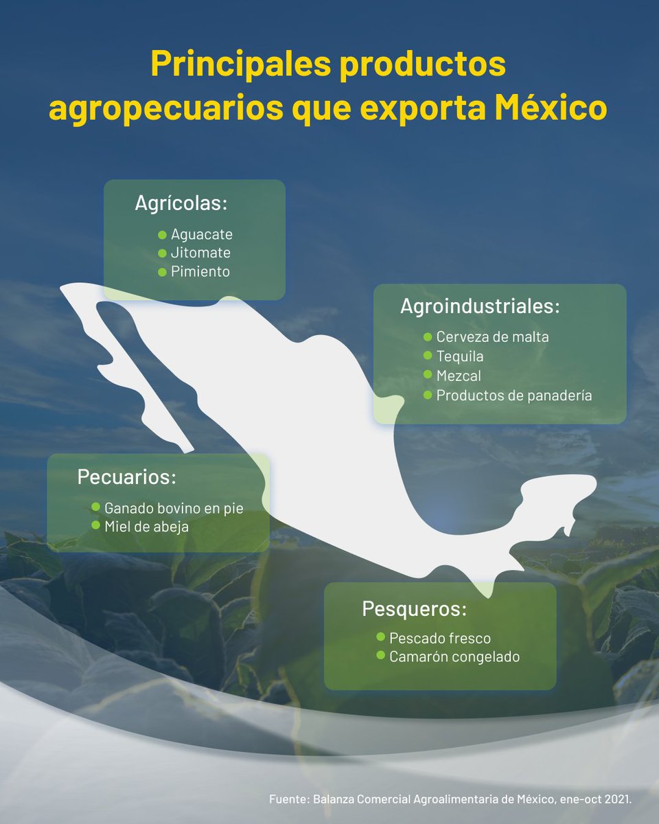 CortinaGallardo's tweet photo. Sigamos fortaleciendo el comercio internacional de productos de origen animal y vegetal de nuestro país. La calidad de los productos mexicanos es reconocida en el mundo. #ElCampoOrgulloDeMéxico. https://t.co/eKetdGXJgD