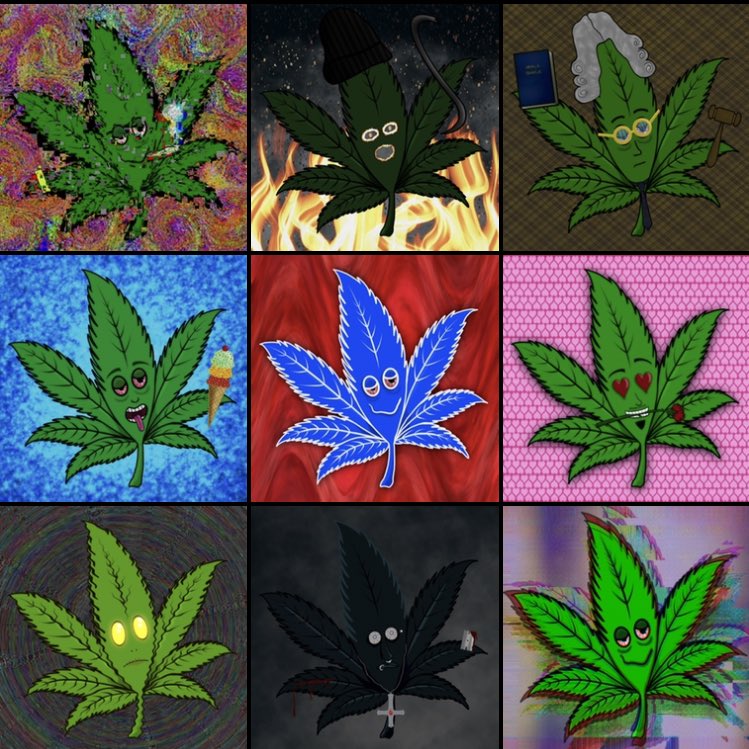 anthroweed's tweet photo. The July drop in it’s entirety. So pretty. Who’s ready for the August 1st drop?!?!

Links: https://t.co/rnfVmAAHlN 

#weeddrawing #marijuanaart #nftdrop #NFTartwork #420logos #weedlogo #weedlogos #weedtattoo #weedaesthetic #420aesthetic #mmemberville #hippievibe #danknfts #420fam https://t.co/UCvdAHnPaA
