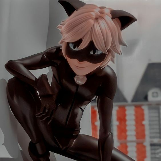 bugchat3's tweet image. Apresento a todos o dono de muitos corações