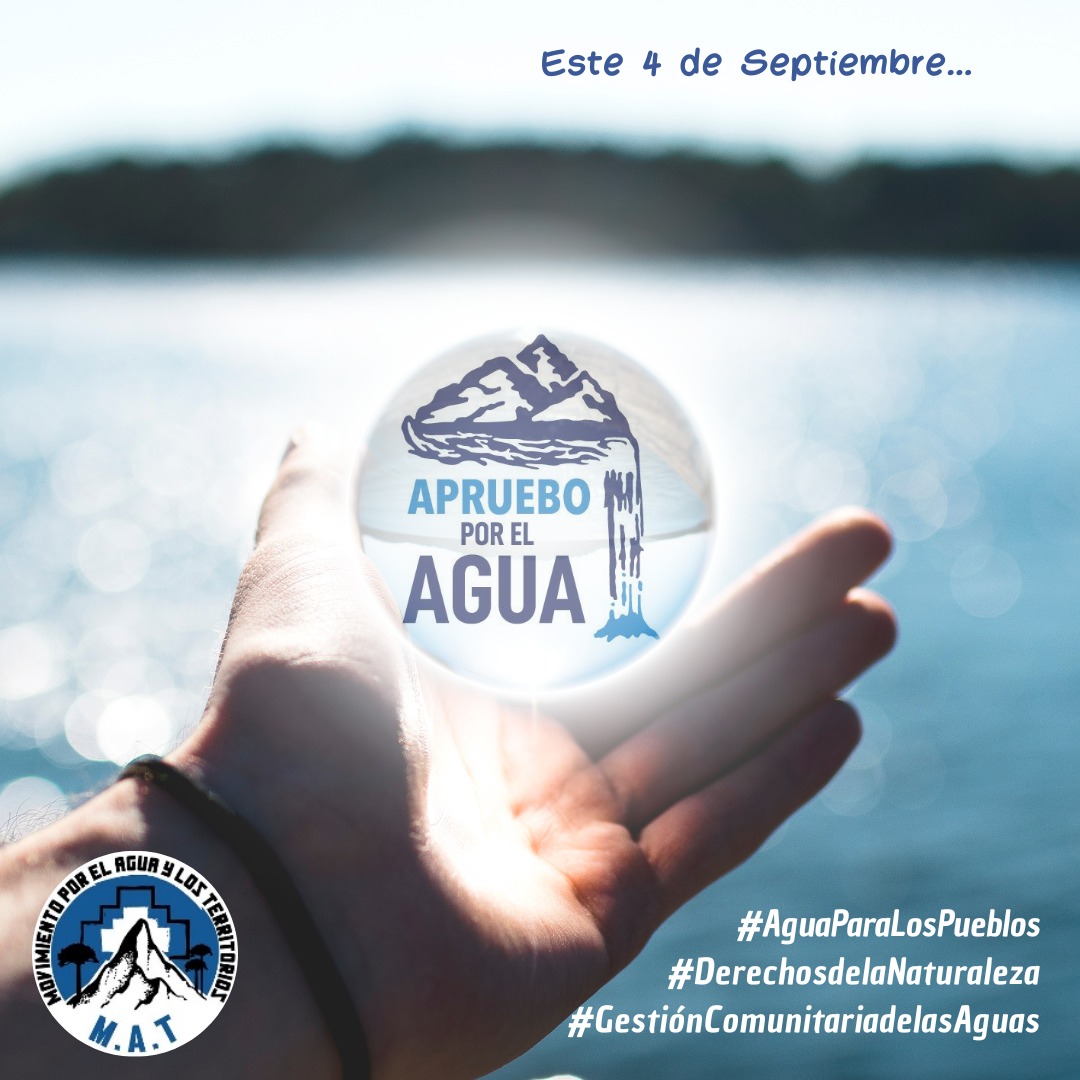 Andra Tutto Bene 🍉🇵🇸 tweet media