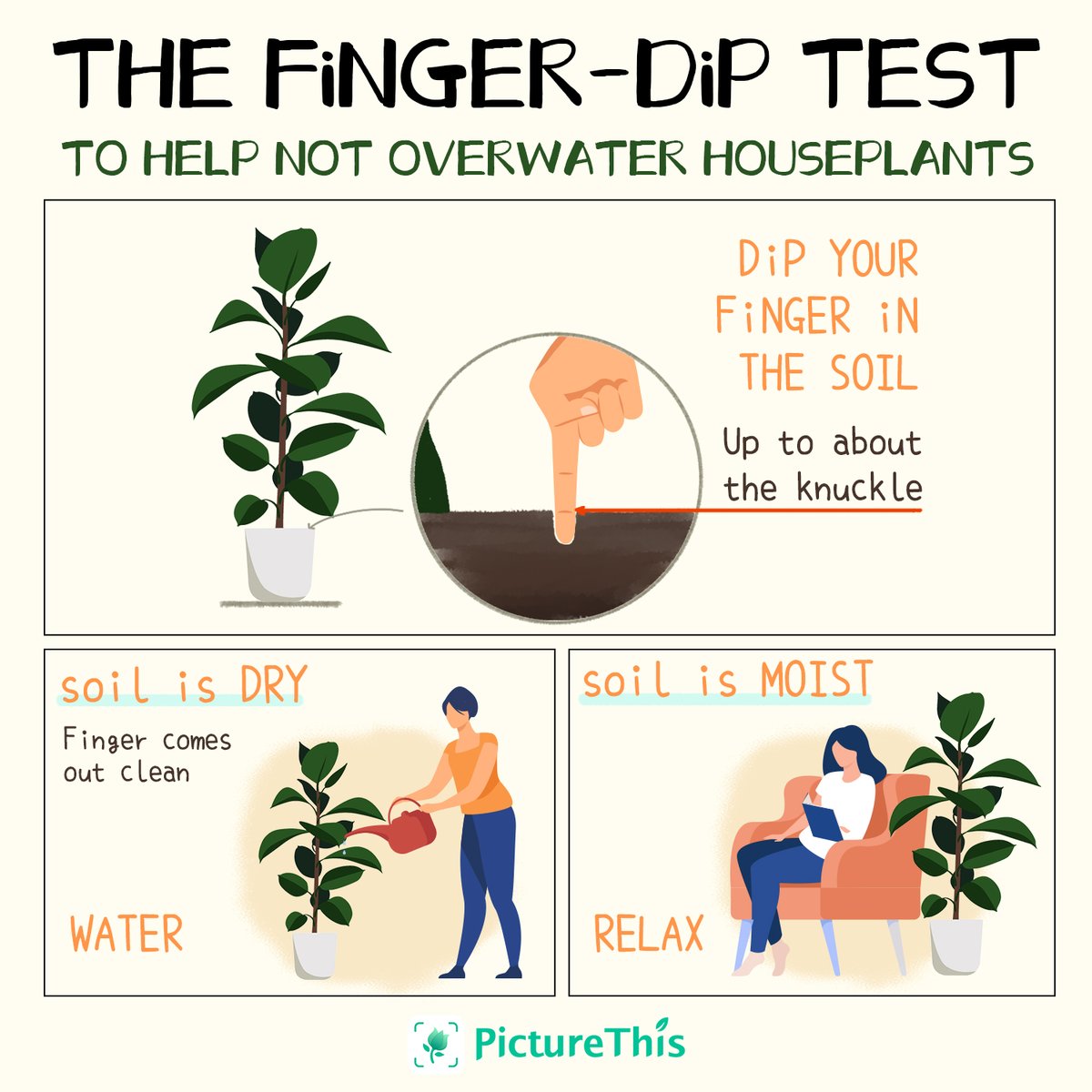 PictureThisAI's tweet photo. Water is necessary for your plant's grow.๐ฟ๐๐๐ฆ๐ฆ
The finger-dip test to help not overwater houseplants.๐๐ต๐๐ณ
It's time to have a try to test your houseplants. ๐ณ๐ต
Take care of your plants.
.app.adjust.com/5kn0c8c
.
.
.
#plants #picturethisai #picturethis #tips #test #soil https://t.co/LoPAJvVEdX
