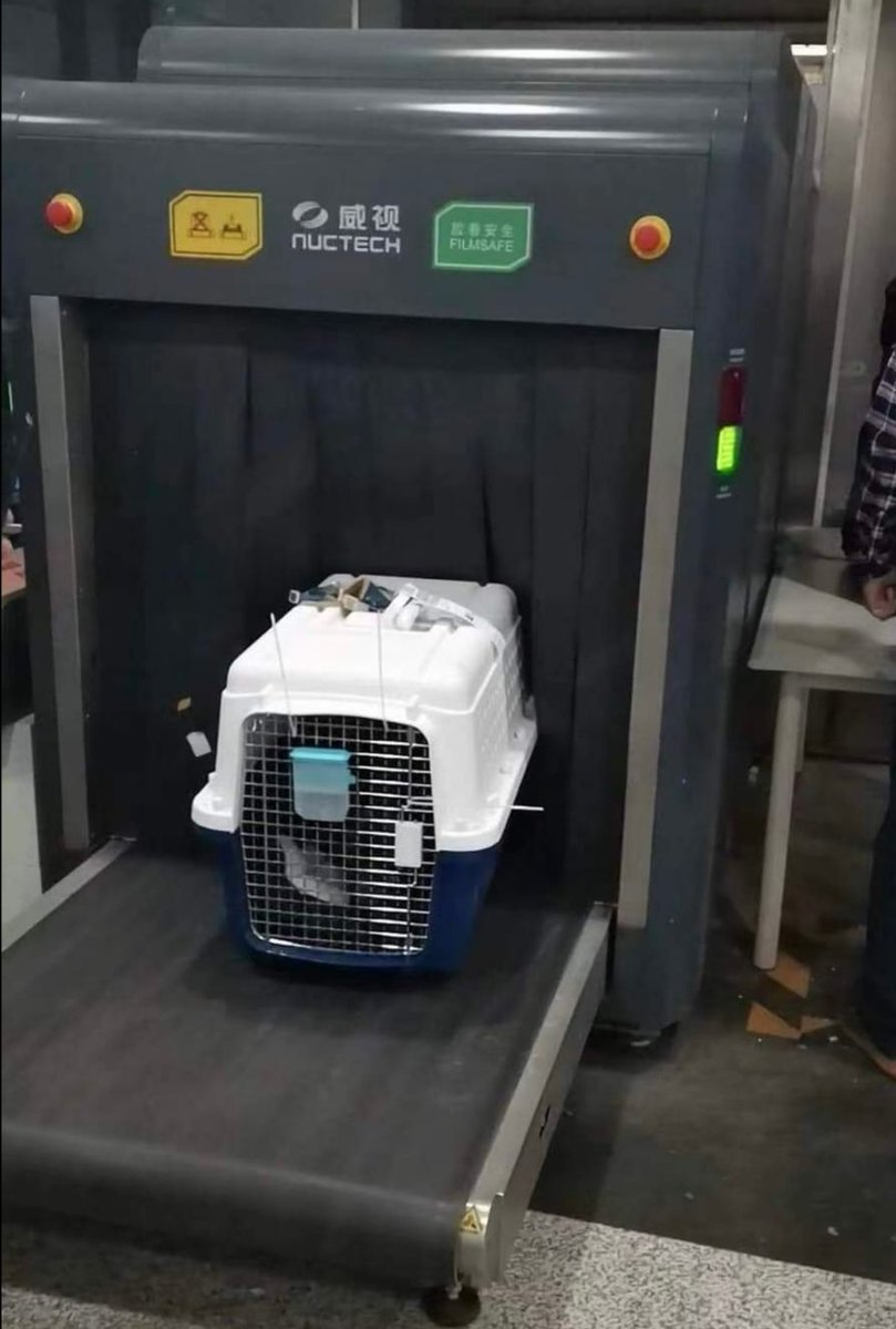 ICVS Animal Hospital tweet media