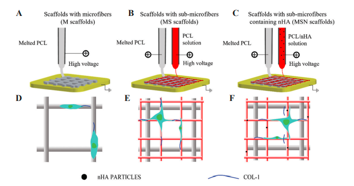 IJB_ASP's tweet photo. Gain new insights into the design and fabrication of #FibrousScaffolds for #BoneTissue engineering, read more“Enhanced Attachment and Collagen Type I Deposition of MC3T3-E1 Cells via #Electrohydrodynamic Printed Sub-Microscale #Fibrous Architectures” 👇
https://t.co/GLE61GhaGI https://t.co/CtE4Vi3EoL