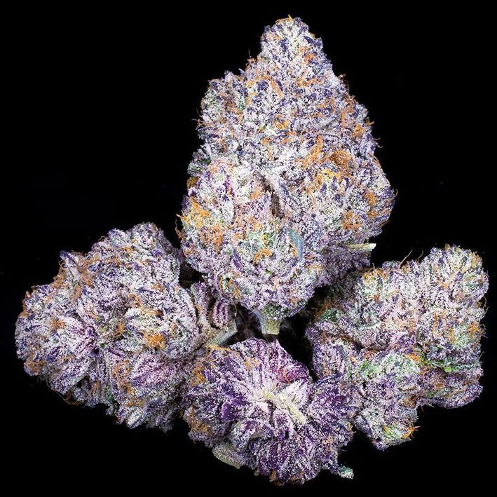 Mary Jane Blaze tweet media