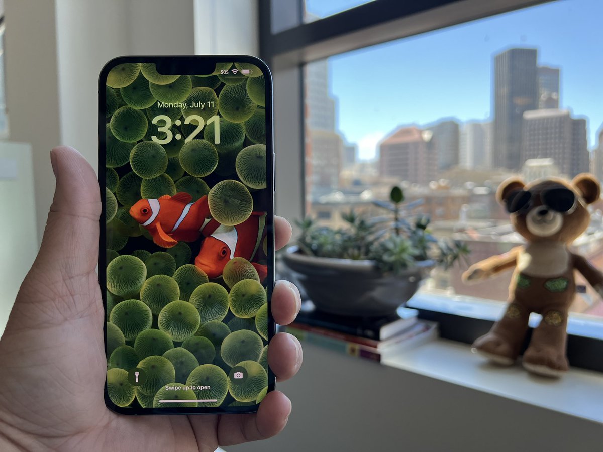 trickholland's tweet image. Rocking some OG iPhone clownfish wallpaper on my iPhone 13 Pro running the Public Beta for iOS 16.
#ios16 #ios16beta