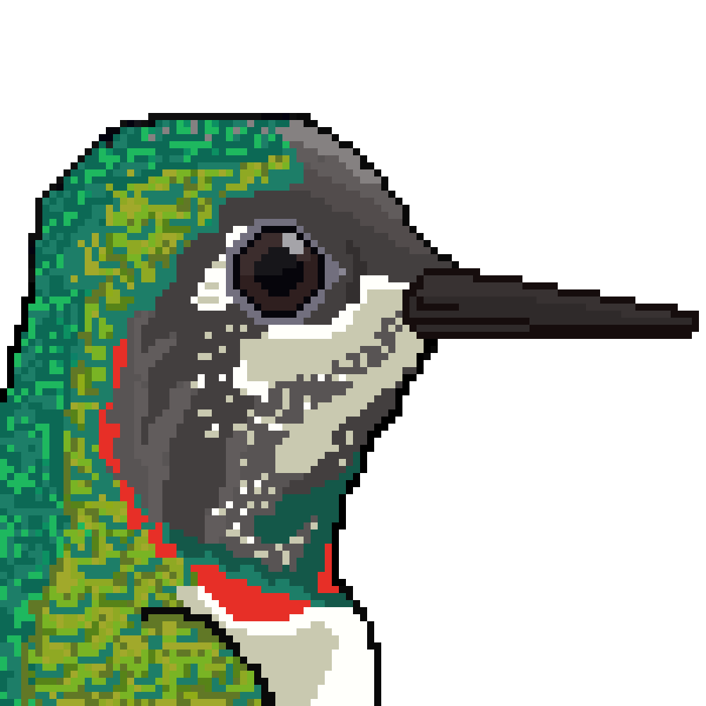 __WhiteForest's tweet photo. Hello #NFTCommmunity  

EndangeredBirds is a pioneer project that has the purpose to raise awareness about the brazilian's wildlife conservation, through the biological art, by pixelating endangered species from Caatinga, a semi-arid ecossystem.

https://t.co/KYsTO4qYMx https://t.co/SYlSSBQK5q