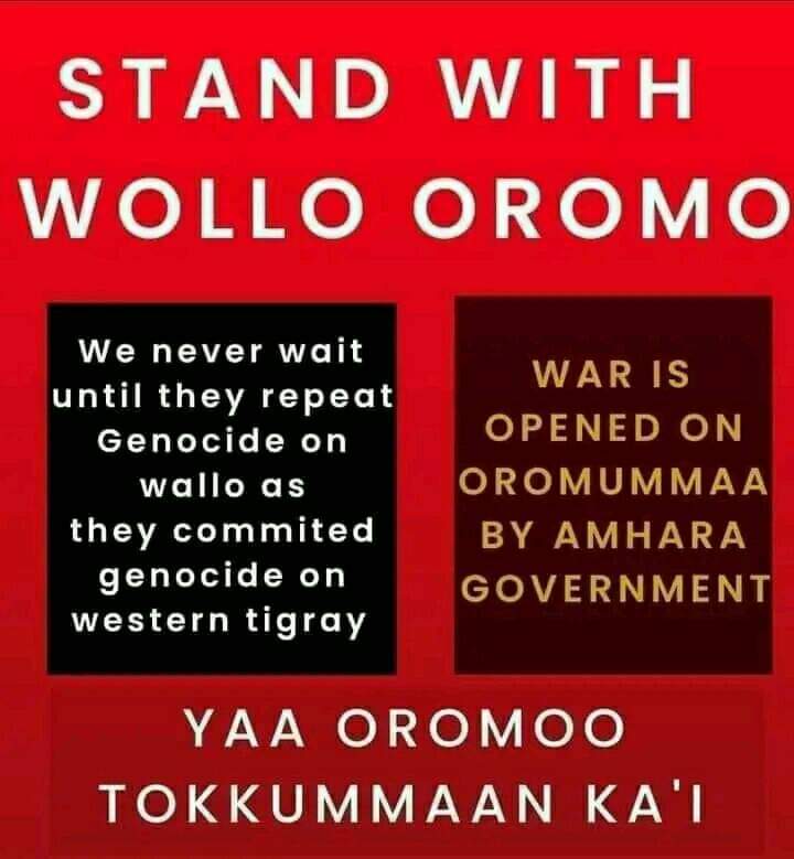 AWoldetensa's tweet photo. #Walloo
Liyyu haylii naannoo Amaaraa magaalaa Baatee qubsiifamanii turan halkan kana gara Kamisee Aanaa Jiilleetti fe'aa jiru.
Waliif dabarsaa!!
#StandWithOromo #StandWithWallooOromo https://t.co/8YPskwbFMt