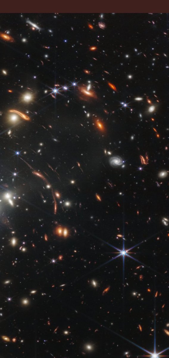 FishNinja tweet media