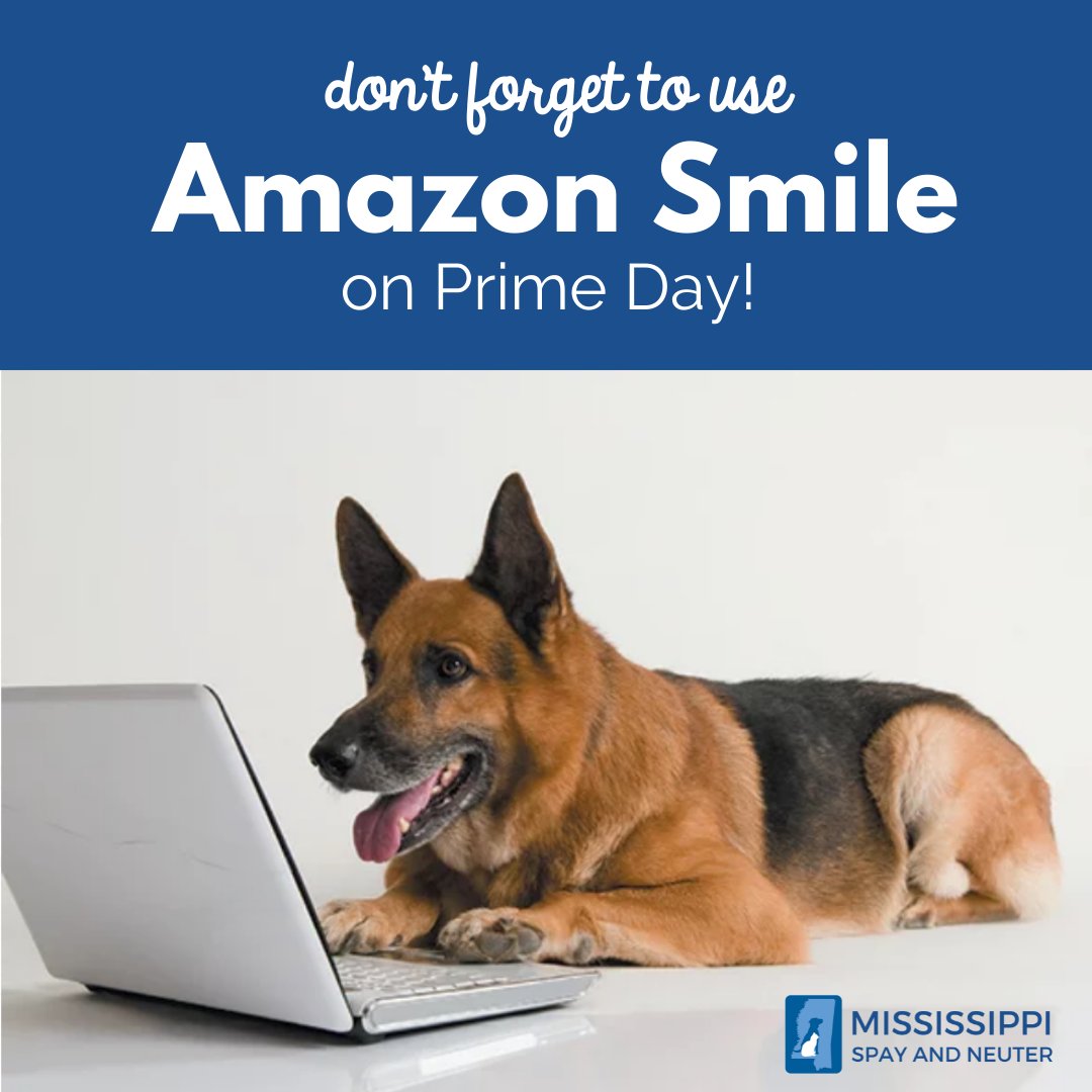 MS_SPAN's tweet photo. Everyone's favorite shop-from-the-couch-days are coming up! If you haven't already, it's the perfect time to choose Mississippi Spay &amp; Neuter as your beneficiary so that we get a donation for every purchase you make on Amazon! Just start at https://t.co/dpDvWrYzlH. https://t.co/fBu4rGM81D