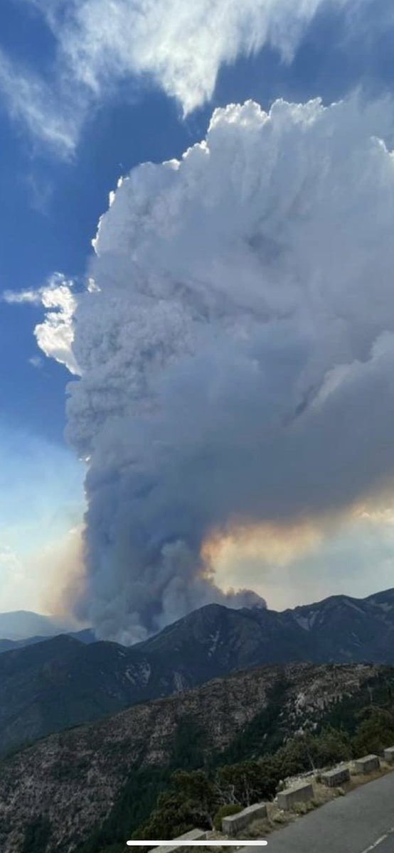 Si algún empresario de Turismo de Las Hurdes tiene clientes que los hayan desalojado o lo vayan a hacer o esté en riesgo, los Apartamentos A Fala en Sierra de Gata se ofrecen SIN COSTE ALGUNO #todosconlashurdes Foto de <a href="/PacoCastanares/">PacoCastañares</a> <a href="/birdextremadura/">BIRDING IN EXTREMADURA</a> <a href="/DGobExtremadura/">Del.Gob.Extremadura</a>