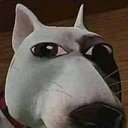 McLoc911 tweet media