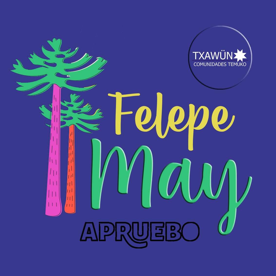 Isabel_Canet_C's tweet photo. #FelepeMay #Apruebo https://t.co/IeOZwoCNzB