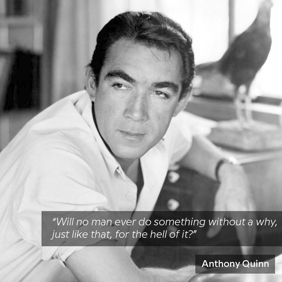 AnthonyQuinnEST's tweet photo. Sometimes doing things for the hell of it makes life more interesting, don't you think?
#anthonyquinn #forthehellofit #quoteslovers #decisionmaking #quotestoinspire #justforfun #whynot #mondayquotes https://t.co/HIynNGHZvU