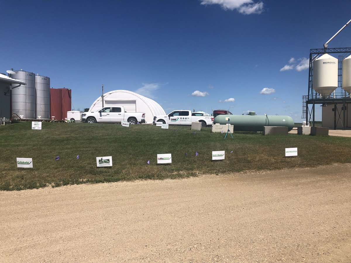 douggomex's tweet photo. Lawn & yard grass trials at Nutrien Ag Lumsden. Stop in ask for details. Products to enhance any grass. #onex #nutrienag https://t.co/TrHqnjmY0Y