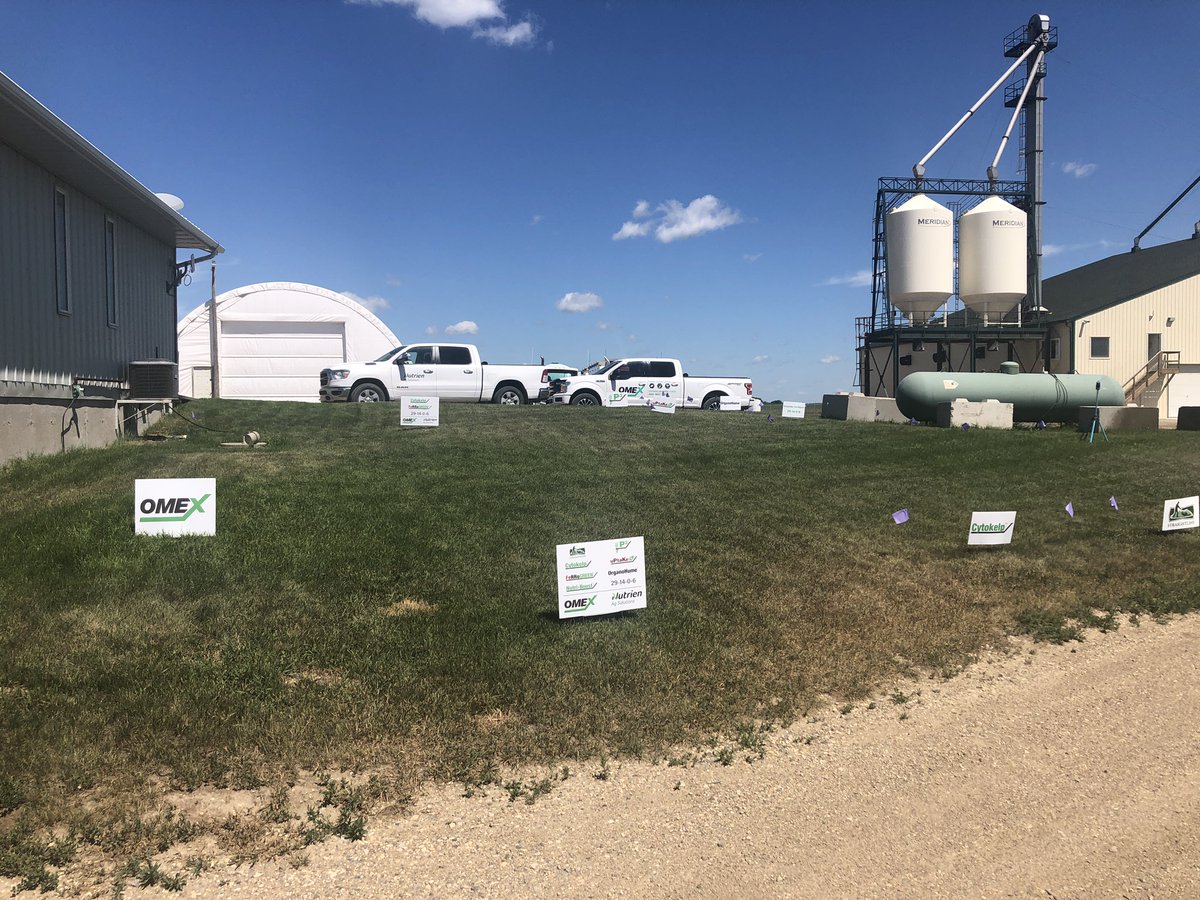 douggomex's tweet photo. Lawn & yard grass trials at Nutrien Ag Lumsden. Stop in ask for details. Products to enhance any grass. #onex #nutrienag https://t.co/TrHqnjmY0Y
