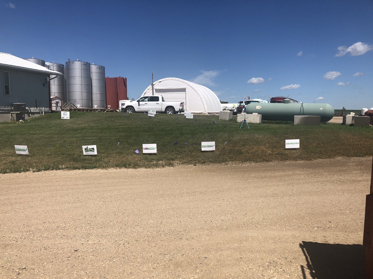 douggomex's tweet photo. Lawn & yard grass trials at Nutrien Ag Lumsden. Stop in ask for details. Products to enhance any grass. #onex #nutrienag https://t.co/TrHqnjmY0Y