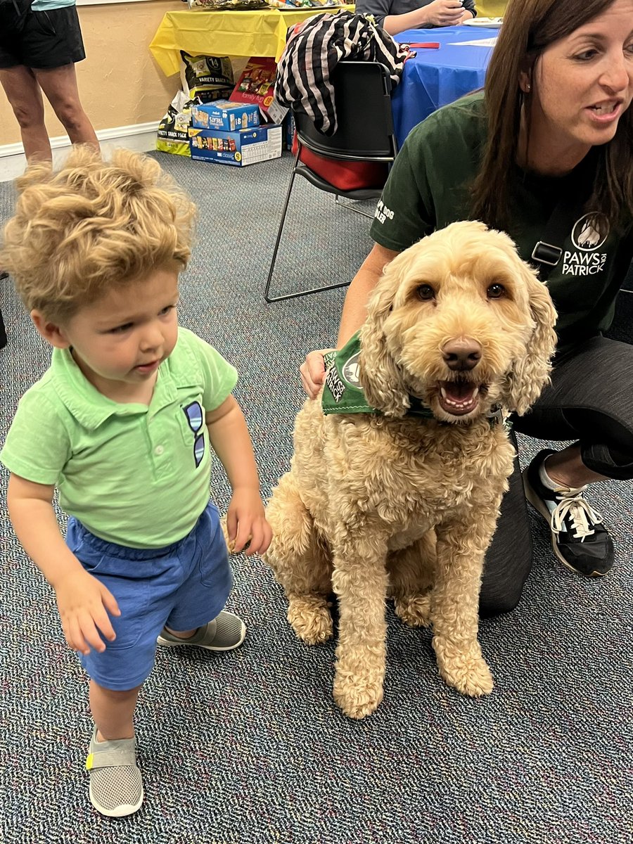Therapy dogs at the district office today!  So great to see so many colleagues and administrators! #112leads <a href="/D112Teachers/">District112Teachers</a>