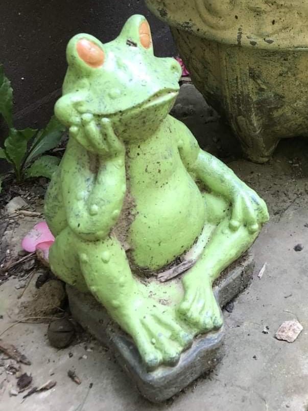 JerryCMoody's tweet photo. I'm feeling froggy 🐸 https://t.co/5Az7w7jLNG