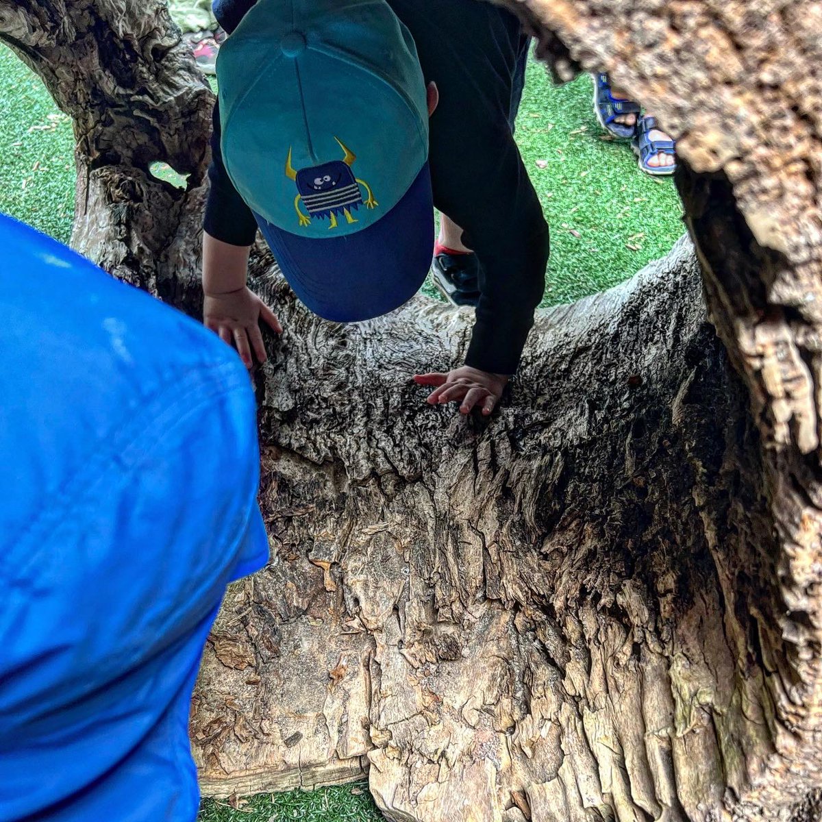 TodaysFamilyOnt's tweet photo. Donβt just tell children about the world
Show them
Let them explore it for themselves
#howdoeslearninghappen https://t.co/u4mk7yLfJk