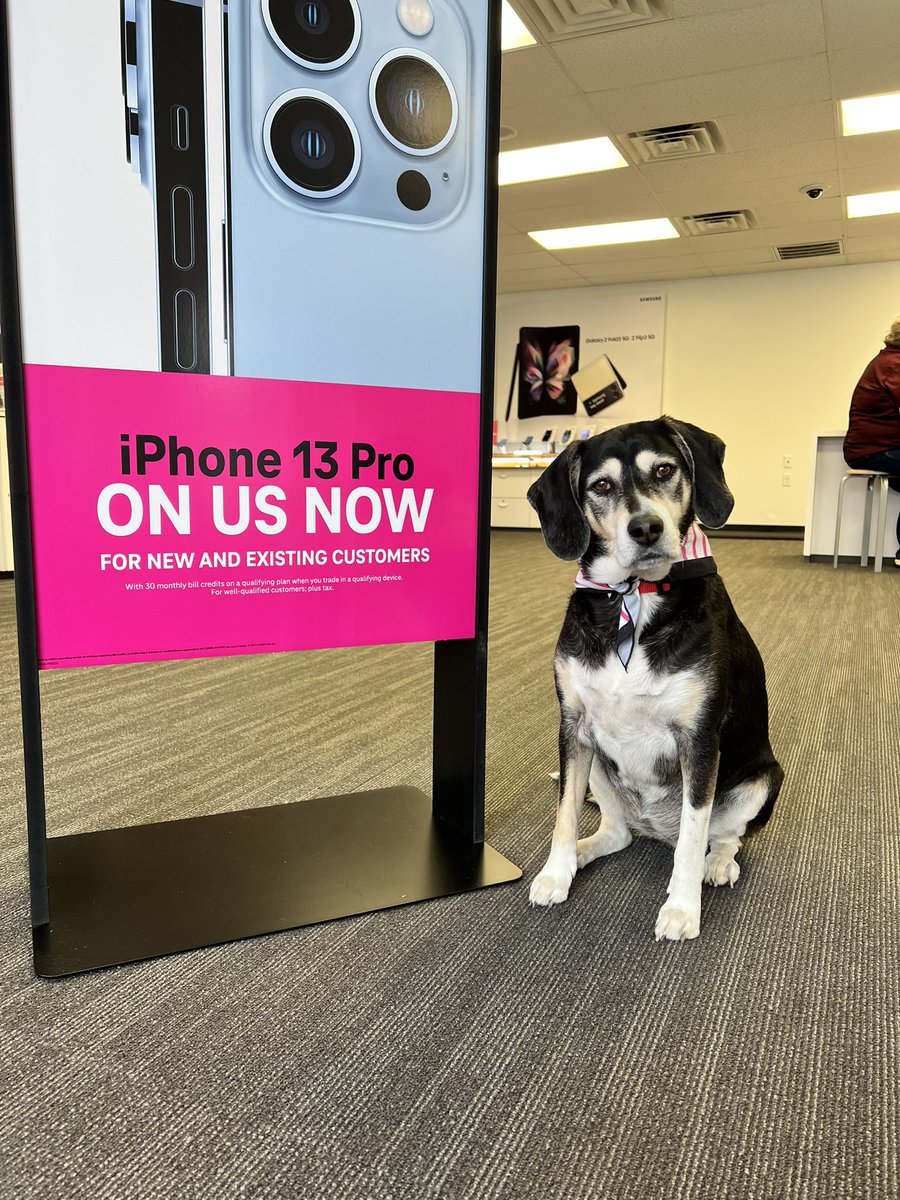 AmandaCVirginia's tweet photo. This is my time to shine, because my life revolves around my Magenta Pet! @TMobile #TMobilePets https://t.co/U18KgoavYa