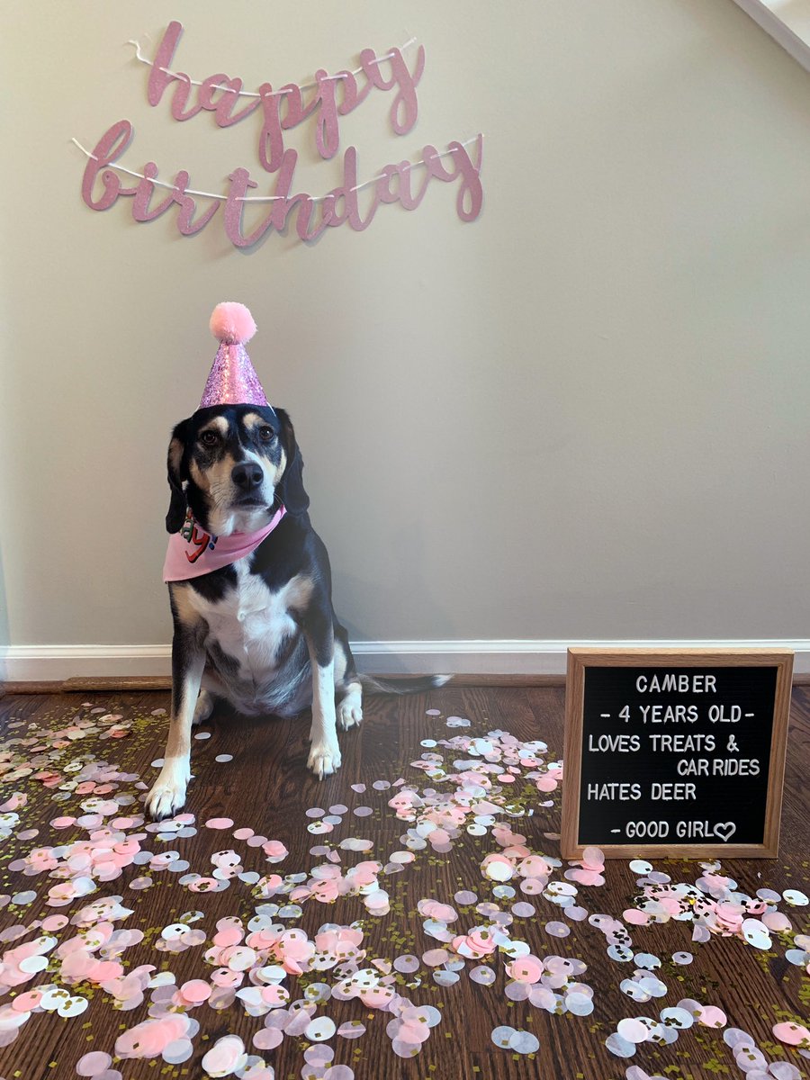 AmandaCVirginia's tweet photo. This is my time to shine, because my life revolves around my Magenta Pet! @TMobile #TMobilePets https://t.co/U18KgoavYa