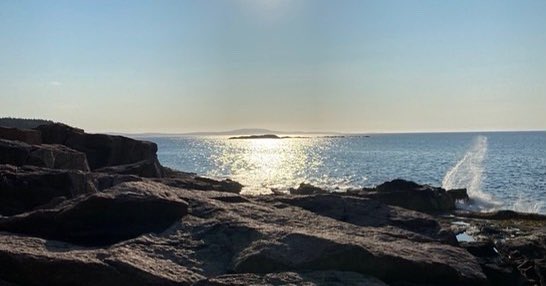 Jennifer Roth tweet media