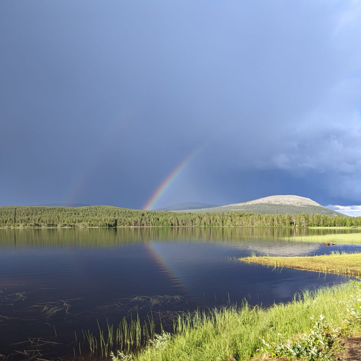 Treasure hunting. 
#Ylläs #Äkäslompolo #Finland #rainbow #Lappi #Lapland