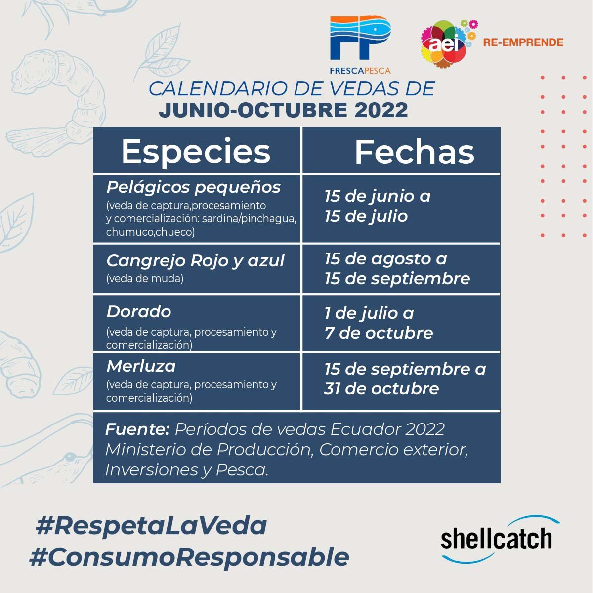 Shellcatch Ecuador tweet media
