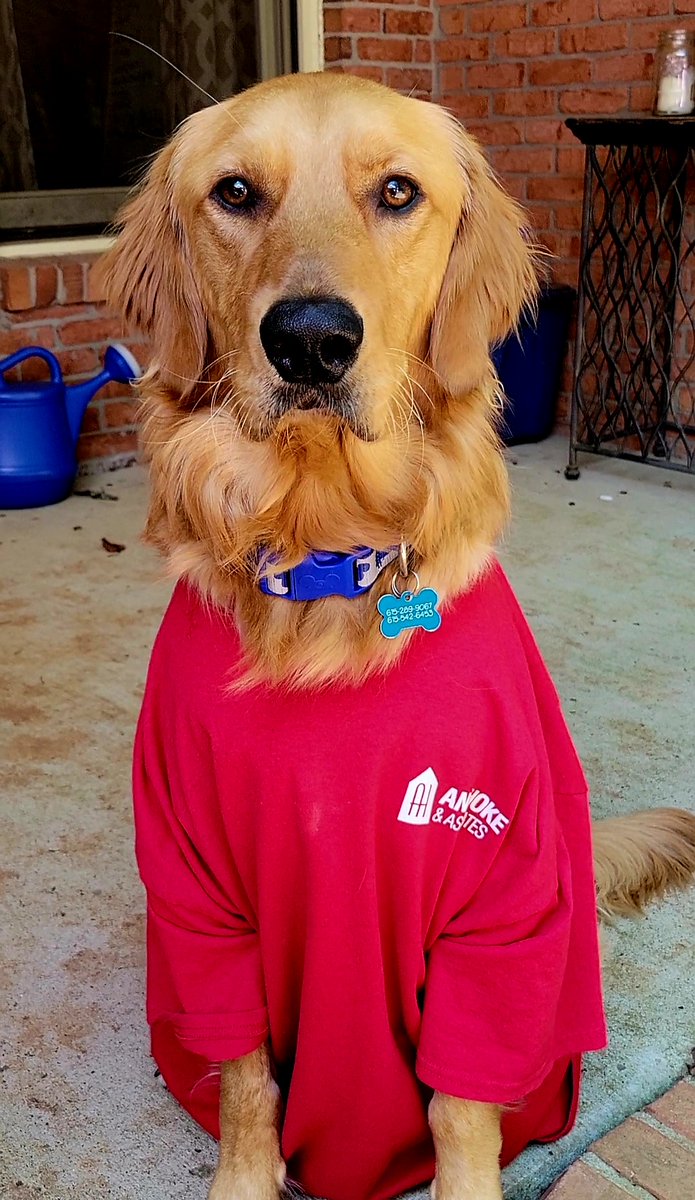 AskAnnHoke's tweet photo. Today is All American Pet Day!!!!  

 🐶Show us your fur babies!!! 🐱 https://t.co/o2XnQlzsh2