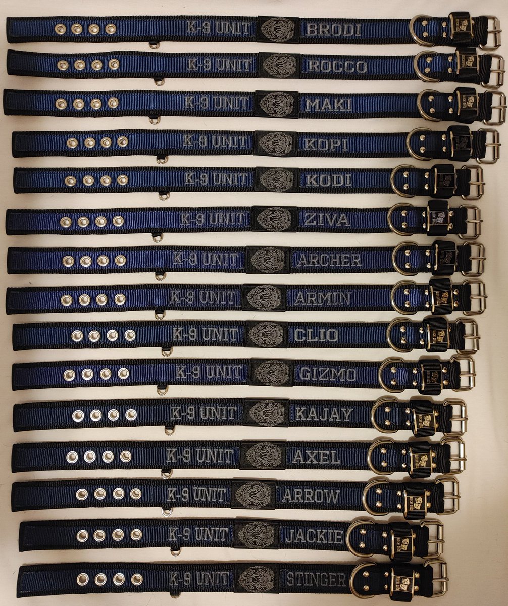 BLOCKYDOGS's tweet photo. Shipment pics! 15 more collars &amp; badges going to the Allied Universal K9s! Larger badges are on Velcro to be attached to holders on K9's collar or harness. Larger badges have K9's name &amp; badge number.
#blockydogscollar #k9 #k9collar  #customdogcollars #madeinusa  #allieduniversal https://t.co/lR89sAmHAb