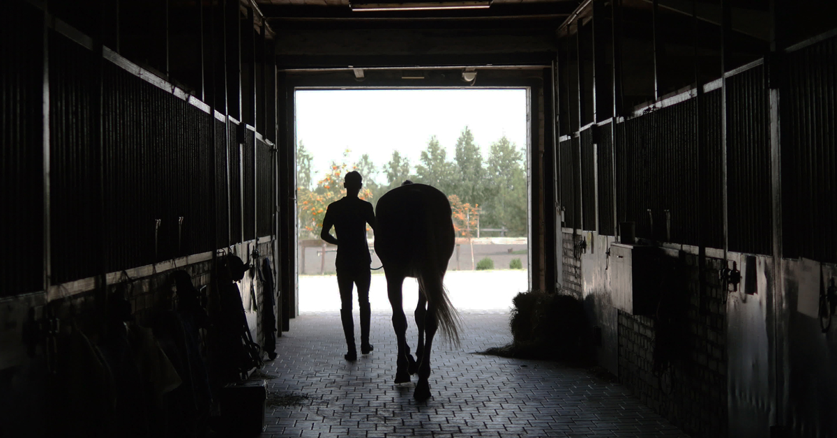 HorseSport_mag's tweet photo. Employers and Grads Agree: OEEEP Works!
This successful program matches enthusiastic graduates with busy equine businesses, offering free training courses and attractive financial incentives. #horsejobs #OEEEP #workwithhorses
https://t.co/07YzmCFIii https://t.co/G1QPTJVLfK
