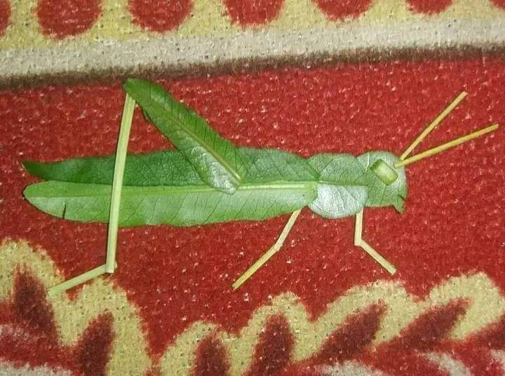 Eilham_Alansy's tweet photo. ابداعات الرسم باوراق القات
خدارة مولعي 🌿😅😅😅 https://t.co/b7WCUm7cem