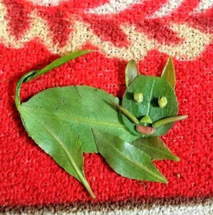 Eilham_Alansy's tweet photo. ابداعات الرسم باوراق القات
خدارة مولعي 🌿😅😅😅 https://t.co/b7WCUm7cem