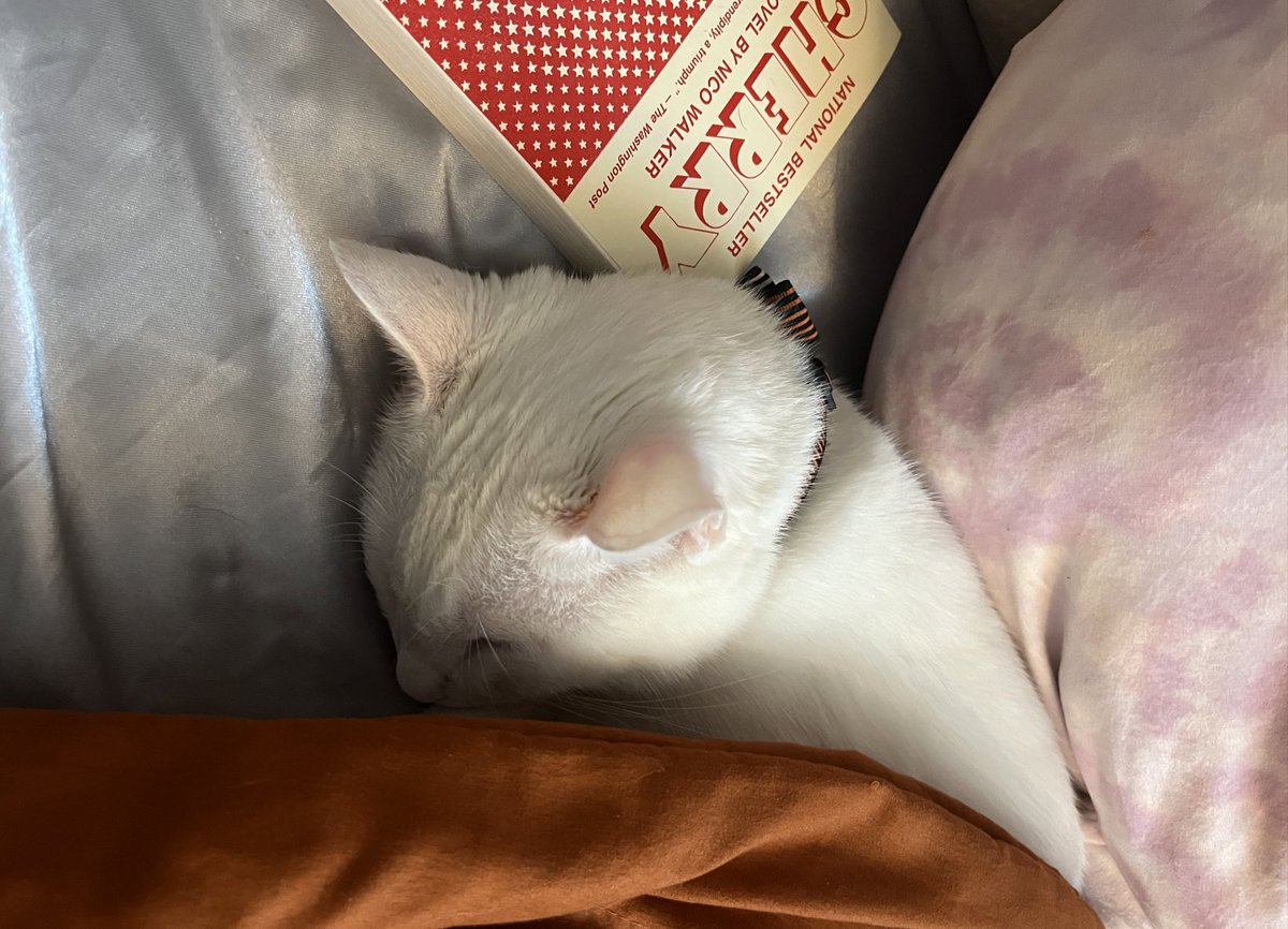 My brain is so big I can read books in my sleep through osmosis