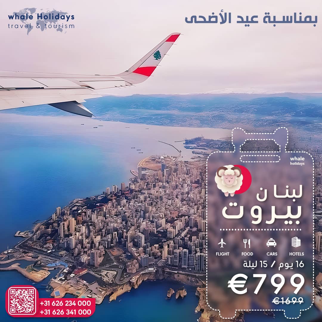 Whale Holidays on Twitter 