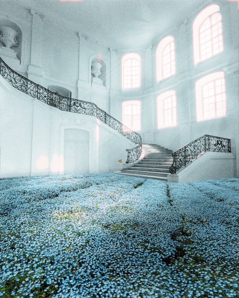 A Florist’s Dream 🕊💎