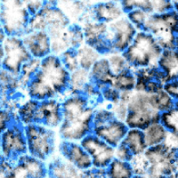 PhysRevX's tweet photo. Molecular motor-driven hierarchical organization of filaments into radial asters, 2D extended bilayers, and 3D active foamlike materials. Read https://t.co/07ZuzjSzYi #PRXjustpublished #openaccess #PRXactivematter https://t.co/QfpsQeSuqy